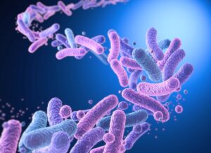 gut-bacteria-evolution-unlocking-the-secrets-to-future-health