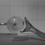 high-speed-cameras-reveal-venomous-snake-bite-techniques