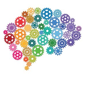how-a-new-brain-model-sheds-light-on-learning-and-mental-disorders
