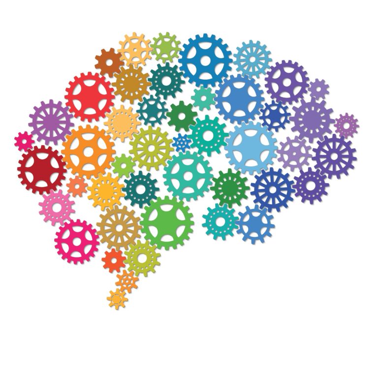 how-a-new-brain-model-sheds-light-on-learning-and-mental-disorders