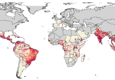 india-faces-major-chikungunya-threat-as-global-risk-maps-expand