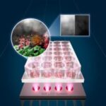 innovative-led-treatment-targets-cancer-cells-spares-healthy-tissue