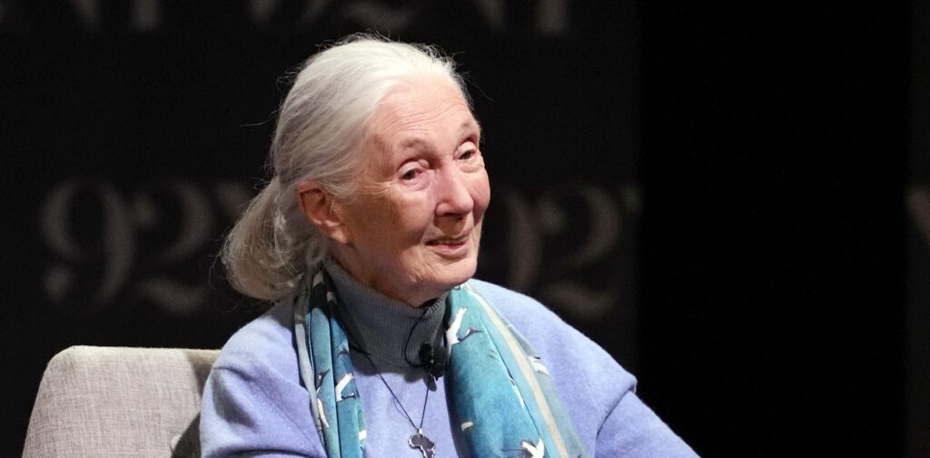 jane-goodall-the-trailblazer-who-redefined-humanity-through-chimpanzees