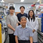 kaist-unveils-ai-technology-to-predict-cell-drug-responses-like-lego-blocks