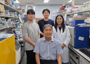 kaist-unveils-ai-technology-to-predict-cell-drug-responses-like-lego-blocks
