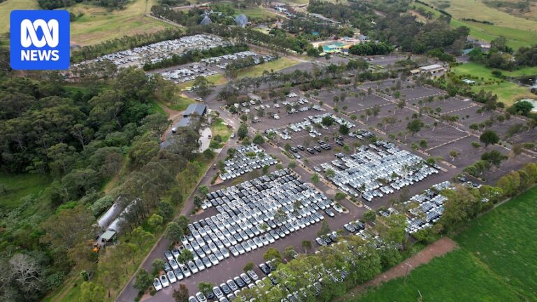 kiama-council-blocks-byd-ev-storage-plan-at-jamberoo-action-park