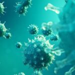 maldives-achieves-historic-triple-elimination-of-disease-transmission