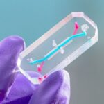 nasa-s-avatar-project-pioneering-space-health-with-astronauts-on-chips