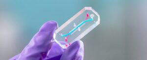 nasa-s-avatar-project-pioneering-space-health-with-astronauts-on-chips