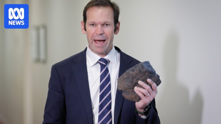 nationals-net-zero-review-lacks-economic-modelling-sparks-debate