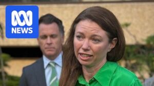 new-law-proposal-seeks-tougher-sentences-for-domestic-violence-killers-in-nsw