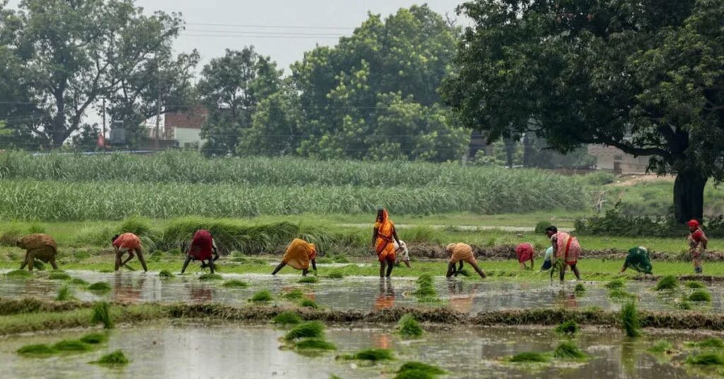 newborn-girl-found-buried-alive-in-india-sparks-debate-on-gender-bias