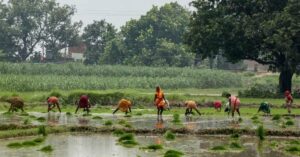 newborn-girl-found-buried-alive-in-india-sparks-debate-on-gender-bias