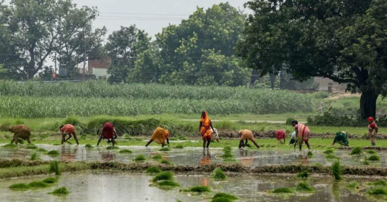 newborn-girl-found-buried-alive-in-india-sparks-debate-on-gender-bias