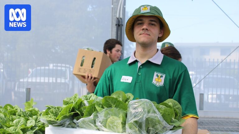 north-queensland-school-s-1-7m-investment-boosts-agricultural-education