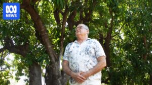 northern-australia-s-food-bowl-vision-faces-climate-and-economic-hurdles