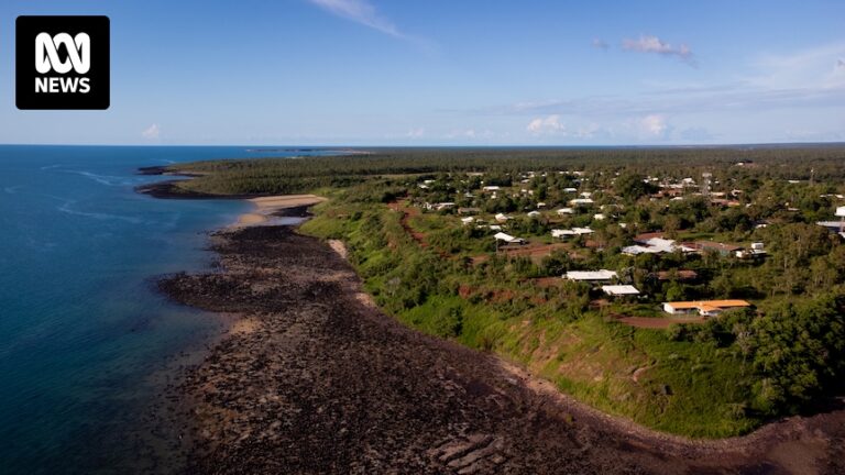 northern-territory-leads-australia-in-hepatitis-b-care-amid-rising-diagnoses