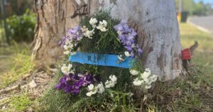 nsw-police-investigate-suspected-murder-on-far-south-coast