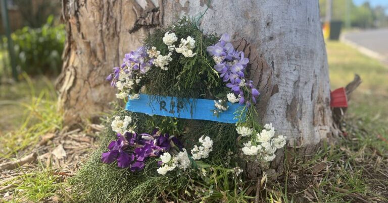 nsw-police-investigate-suspected-murder-on-far-south-coast