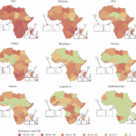 nutrient-gaps-in-african-food-production-pose-major-challenges