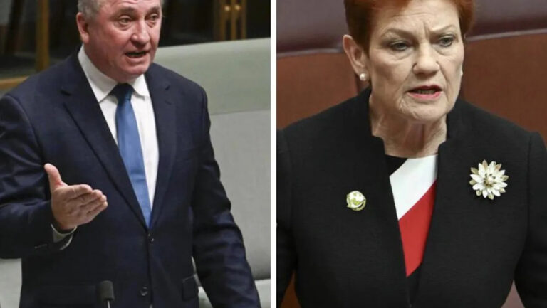 pauline-hanson-denies-barnaby-joyce-leadership-speculation