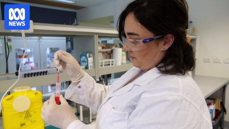 pfas-exposure-linked-to-reproductive-health-issues-in-mice-study-reveals