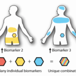 programmable-proteins-revolutionize-targeted-drug-delivery