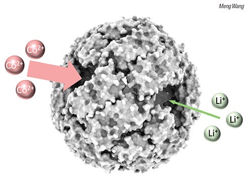 protein-nanocages-revolutionizing-metal-recovery-from-e-waste