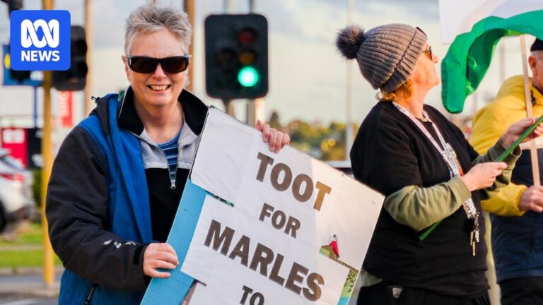 retiree-activists-tackle-social-issues-a-new-chapter-in-advocacy