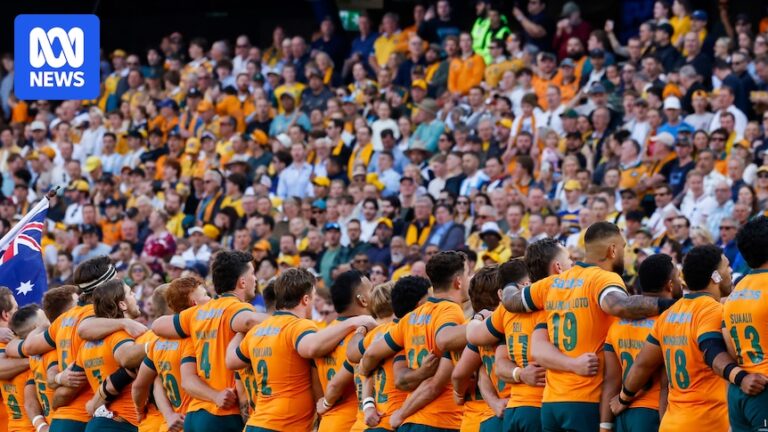 rugby-unions-ban-r360-league-players-from-international-selection