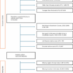 social-capital-s-impact-on-mental-health-insights-from-a-swedish-study