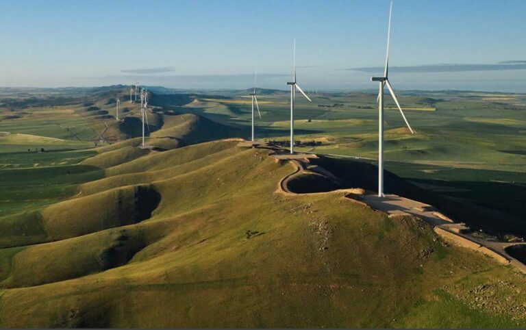 south-australia-s-largest-wind-farm-opens-with-record-low-feed-in-tariff