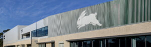 south-sydney-rabbitohs-revamp-football-department-for-2026-season