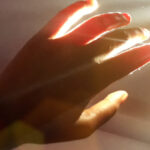 study-reveals-living-organisms-emit-light-that-ceases-upon-death