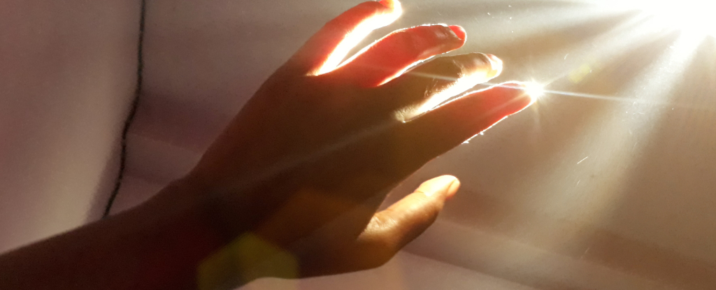 study-reveals-living-organisms-emit-light-that-ceases-upon-death