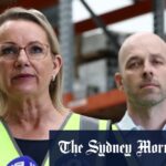 sussan-ley-criticizes-labor-s-environmental-law-overhaul-amid-investor-concerns