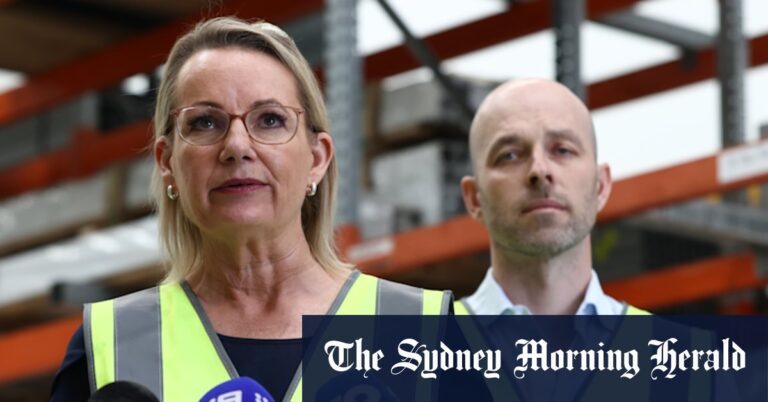 sussan-ley-criticizes-labor-s-environmental-law-overhaul-amid-investor-concerns