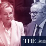 sussan-ley-s-approval-ratings-plummet-amid-liberal-party-turmoil