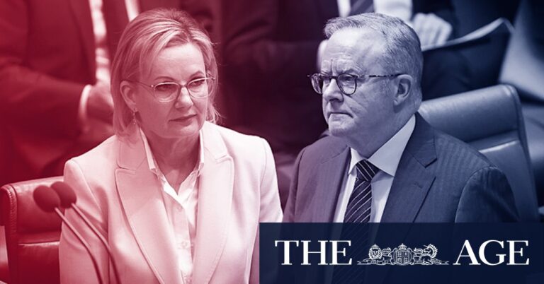 sussan-ley-s-approval-ratings-plummet-amid-liberal-party-turmoil