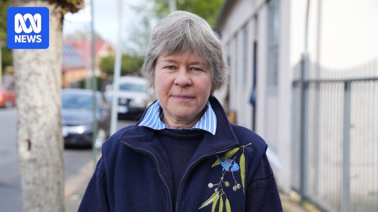 tasmanian-council-s-rejection-of-housing-project-sparks-review-request