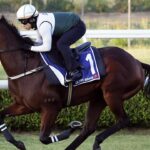 trainer-denies-rumors-as-ka-ying-rising-prepares-for-20-million-everest