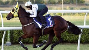 trainer-denies-rumors-as-ka-ying-rising-prepares-for-20-million-everest