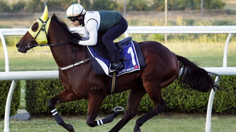 trainer-denies-rumors-as-ka-ying-rising-prepares-for-20-million-everest