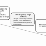 understanding-deep-brain-stimulation-outcomes-in-parkinson-s-disease
