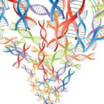 unraveling-genetic-complexity-a-new-era-in-personalized-medicine