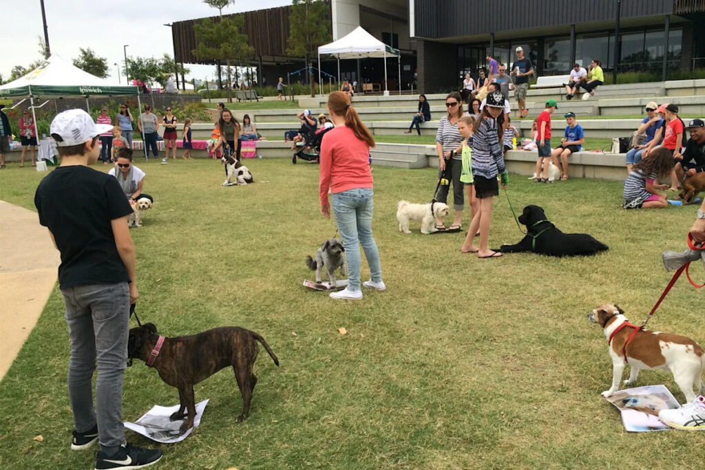 victoria-s-pet-registration-fee-hike-sparks-controversy-amid-cost-of-living-concerns