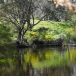 wa-governor-apologizes-for-pinjarra-massacre-acknowledging-historical-injustice