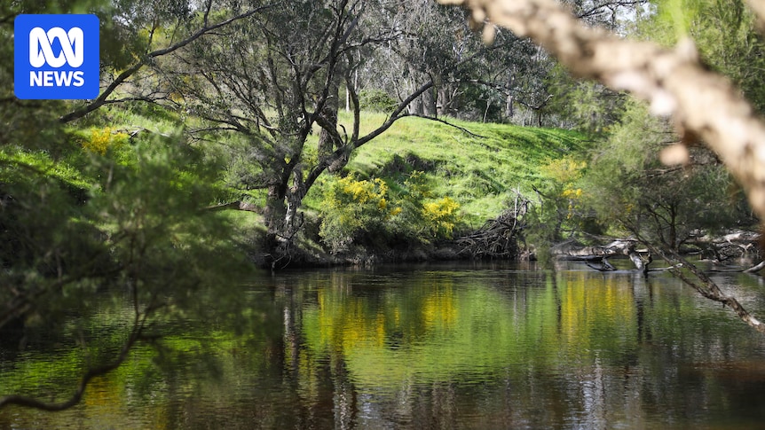 wa-governor-apologizes-for-pinjarra-massacre-acknowledging-historical-injustice