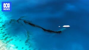 wwii-shipwrecks-pose-environmental-threat-to-micronesia-s-chuuk-lagoon