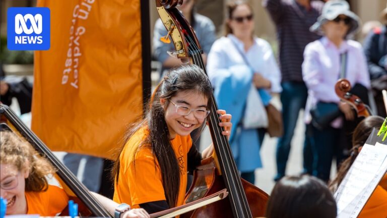 youth-orchestras-building-lifelong-bonds-and-career-pathways-for-musicians